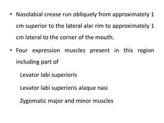 • Nasolabial crease run obliquely from approximately 1
cm superior to the lateral alar rim to approximately 1
cm lateral to the corner of the mouth.
• Four expression muscles present in this region
including part of
Levator labi superioris
Levator labi superioris alaque nasi
Zygomatic major and minor muscles
 