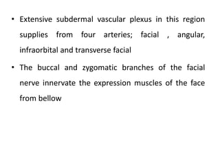 • Extensive subdermal vascular plexus in this region
supplies from four arteries; facial , angular,
infraorbital and transverse facial
• The buccal and zygomatic branches of the facial
nerve innervate the expression muscles of the face
from bellow
 