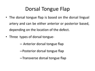 Dorsal Tongue Flap
• The dorsal tongue flap is based on the dorsal lingual
artery and can be either anterior or posterior based,
depending on the location of the defect.
• Three types of dorsal tongue-
– Anterior dorsal tongue flap
–Posterior dorsal tongue flap
–Transverse dorsal tongue flap
 
