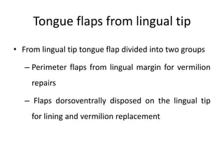 Tongue flaps from lingual tip
• From lingual tip tongue flap divided into two groups
– Perimeter flaps from lingual margin for vermilion
repairs
– Flaps dorsoventrally disposed on the lingual tip
for lining and vermilion replacement
 