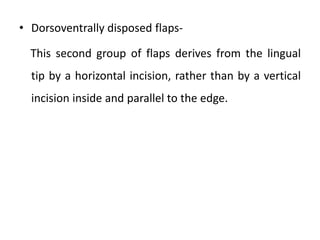 • Dorsoventrally disposed flaps-
This second group of flaps derives from the lingual
tip by a horizontal incision, rather than by a vertical
incision inside and parallel to the edge.
 