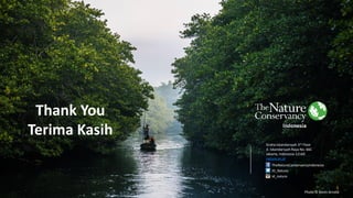 Mangrove management model towards blue carbon initiative