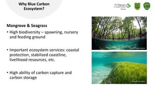 3
Why Blue Carbon
Ecosystem?
Mangrove & Seagrass
• High biodiversity – spawning, nursery
and feeding ground
• Important ec...