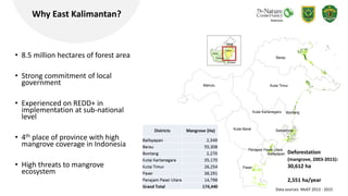 Mangrove management model towards blue carbon initiative