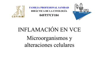 INFLAMACIÓN EN VCE
Microorganismos y
alteraciones celulares
FAMILIA PROFESIONAL SANIDAD
DIDÁCTICA DE LA CITOLOGÍA
04FP37CF184
 