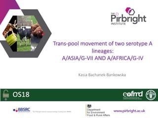 www.pirbright.ac.ukThe Pirbright Institute receives strategic funding from BBSRC.
Trans-pool movement of two serotype A
lineages:
A/ASIA/G-VII AND A/AFRICA/G-IV
Kasia Bachanek-Bankowska
 