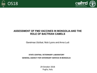 OS18
ASSESSMENT OF FMD VACCINES IN MONGOLIA
AND ROLE OF BACTRIAN CAMELS
, Nick Lyons and
ASSESSMENT OF FMD VACCINES IN MONGOLIA AND THE
ROLE OF BACTRIAN CAMELS
Gerelmaa Ulziibat, Nick Lyons and Anna Ludi
STATE CENTRAL VETERINARY LABORATORY
GENERAL AGENCY FOR VATERINARY SERVICE IN MONGOLIA
29 October 2018
Puglia, Italy
 