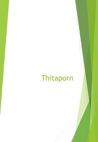 Thitaporn
 