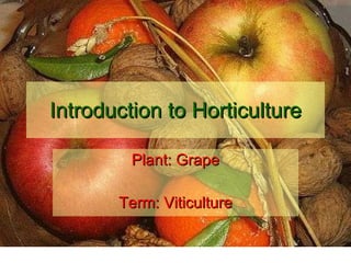Introduction to Horticulture Plant: Grape Term: Viticulture 
