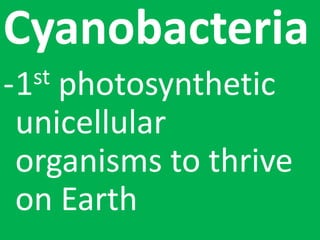 Cyanobacteria
-1st photosynthetic
unicellular
organisms to thrive
on Earth
 