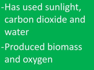-Has used sunlight,
carbon dioxide and
water
-Produced biomass
and oxygen
 