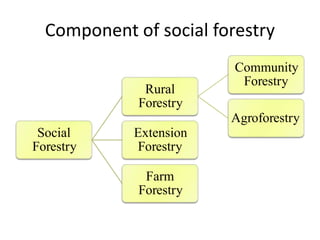 Component of social forestry
Community
Forestry
Rural
Forestry
Agroforestry
Social
Forestry
Extension
Forestry
Farm
Forestry
 