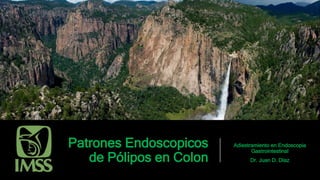 Patrones Endoscopicos
de Pólipos en Colon
Adiestramiento en Endoscopia
Gastrointestinal
Dr. Juan D. Díaz
 