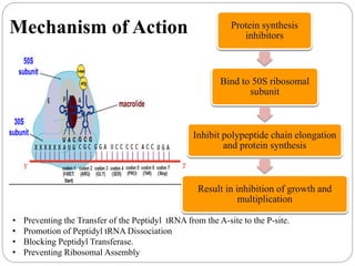 Mechanism of Action Protein synthesis
inhibitors
Bind to 50S ribosomal
subunit
Inhibit polypeptide chain elongation
and protein synthesis
Result in inhibition of growth and
multiplication
• Preventing the Transfer of the Peptidyl tRNA from the A-site to the P-site.
• Promotion of Peptidyl tRNA Dissociation
• Blocking Peptidyl Transferase.
• Preventing Ribosomal Assembly
 