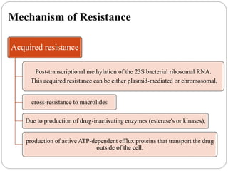 Mechanism of Resistance
Acquired resistance
Post-transcriptional methylation of the 23S bacterial ribosomal RNA.
This acquired resistance can be either plasmid-mediated or chromosomal,
cross-resistance to macrolides
Due to production of drug-inactivating enzymes (esterase's or kinases),
production of active ATP-dependent efflux proteins that transport the drug
outside of the cell.
 