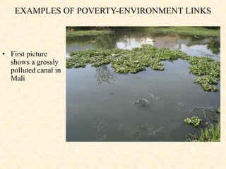 EXAMPLES OF POVERTY-ENVIRONMENT LINKS
• First picture
shows a grossly
polluted canal in
Mali
 