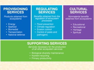 11. poverty & environment; the linkages