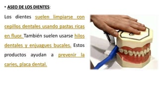 • ASEO DE LOS DIENTES:
Los dientes suelen limpiarse con
cepillos dentales usando pastas ricas
en fluor. También suelen usarse hilos
dentales y enjuagues bucales. Estos
productos ayudan a prevenir la
caries, placa dental.
 