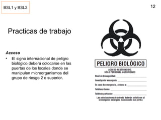 12
Practicas de trabajo
Acceso
• El signo internacional de peligro
biológico deberá colocarse en las
puertas de los locales donde se
manipulen microorganismos del
grupo de riesgo 2 o superior.
BSL1 y BSL2
 