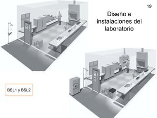 19
Diseño e
instalaciones del
laboratorio
BSL1 y BSL2
 