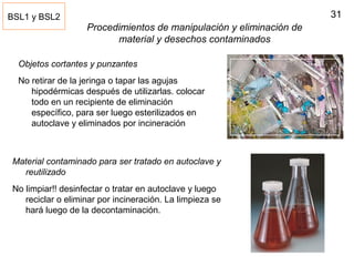 31
Procedimientos de manipulación y eliminación de
material y desechos contaminados
Material contaminado para ser tratado en autoclave y
reutilizado
No limpiar!! desinfectar o tratar en autoclave y luego
reciclar o eliminar por incineración. La limpieza se
hará luego de la decontaminación.
BSL1 y BSL2
Objetos cortantes y punzantes
No retirar de la jeringa o tapar las agujas
hipodérmicas después de utilizarlas. colocar
todo en un recipiente de eliminación
específico, para ser luego esterilizados en
autoclave y eliminados por incineración
 