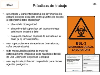 34
Prácticas de trabajo
• El símbolo y signo internacional de advertencia de
peligro biológico expuesto en las puertas de acceso
al laboratorio debe especificar
– el nivel de bioseguridad
– el nombre del supervisor del laboratorio que
controla el acceso a éste
– cualquier condición especial de entrada en la
zona (x ej. inmunización).
• usar ropa protectora sin aberturas (mamelucos,
cofia, cubrecalzado).
• toda manipulación abierta de material
potencialmente infeccioso debe realizarse dentro
de una Cabina de Seguridad Biológica
• usar equipo de protección respiratoria para ciertos
agentes patógenos.
BSL3
 
