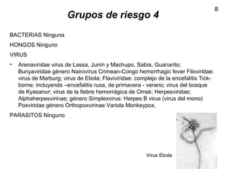 8
Grupos de riesgo 4
BACTERIAS Ninguna
HONGOS Ninguno
VIRUS
• Arenaviridae virus de Lassa, Junín y Machupo, Sabia, Guanarito;
Bunyaviridae género Nairovirus Crimean-Congo hemorrhagic fever Filoviridae:
virus de Marburg; virus de Ebola; Flaviviridae: complejo de la encefalitis Tick-
borne; incluyendo –encefalitis rusa, de primavera - verano; virus del bosque
de Kyasanur; virus de la fiebre hemorrágica de Omsk; Herpesviridae;
Alphaherpesvirinae; género Simplexvirus: Herpes B virus (virus del mono)
Poxviridae género Orthopoxvirinae Variola Monkeypox.
PARASITOS Ninguno
Virus Ebola
 
