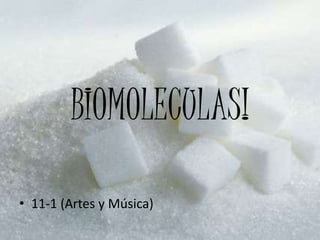BIOMOLECULAS! 11-1 (Artes y Música)  