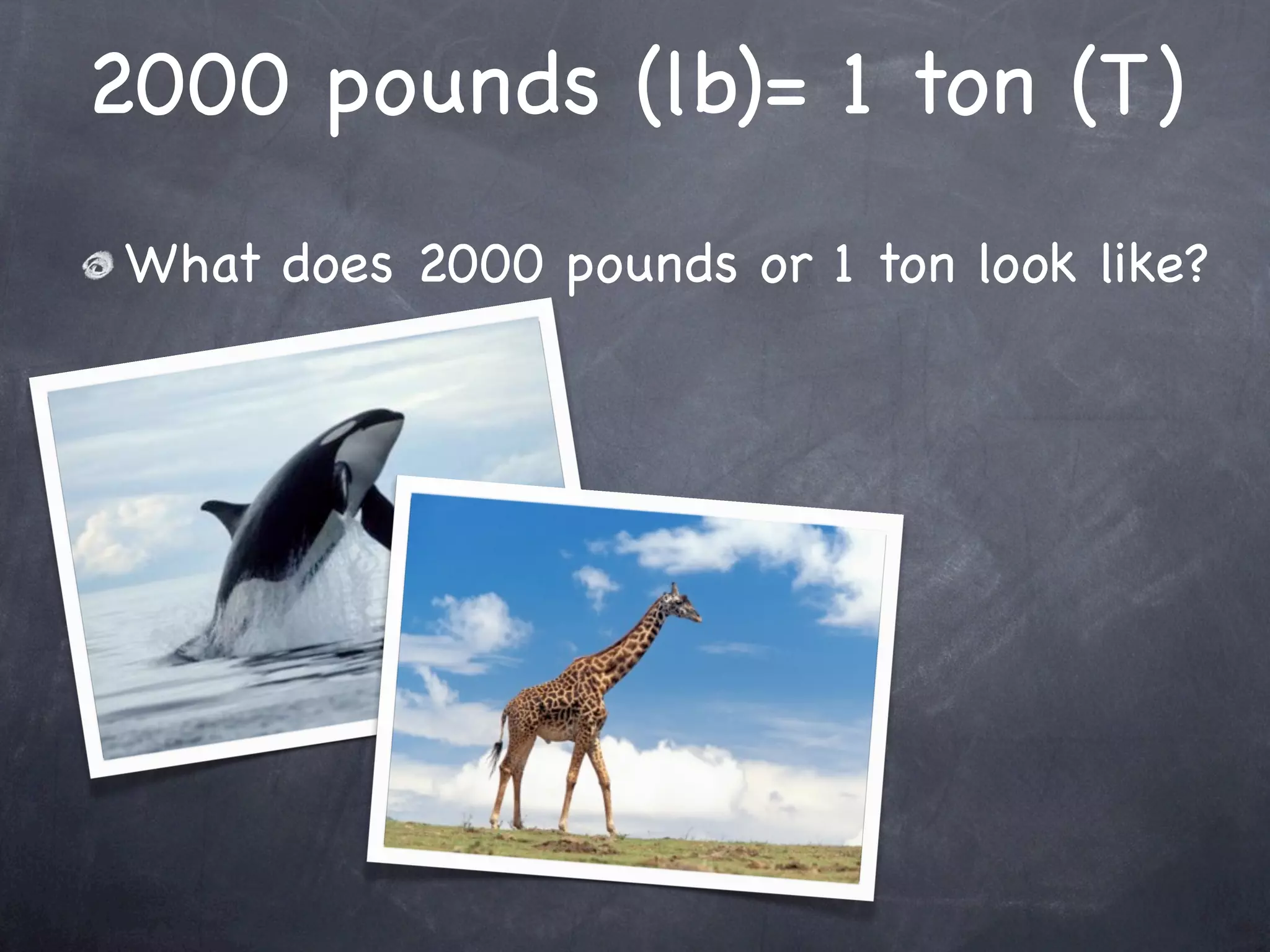 2000 pounds (lb)= 1 ton (T)
What does 2000 pounds or 1 ton look like?
 