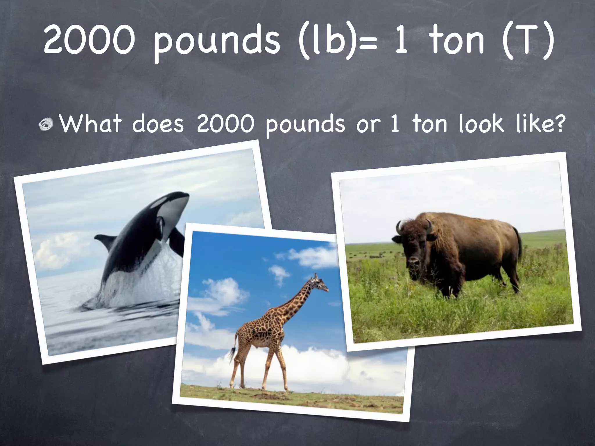 2000 pounds (lb)= 1 ton (T)
What does 2000 pounds or 1 ton look like?
 