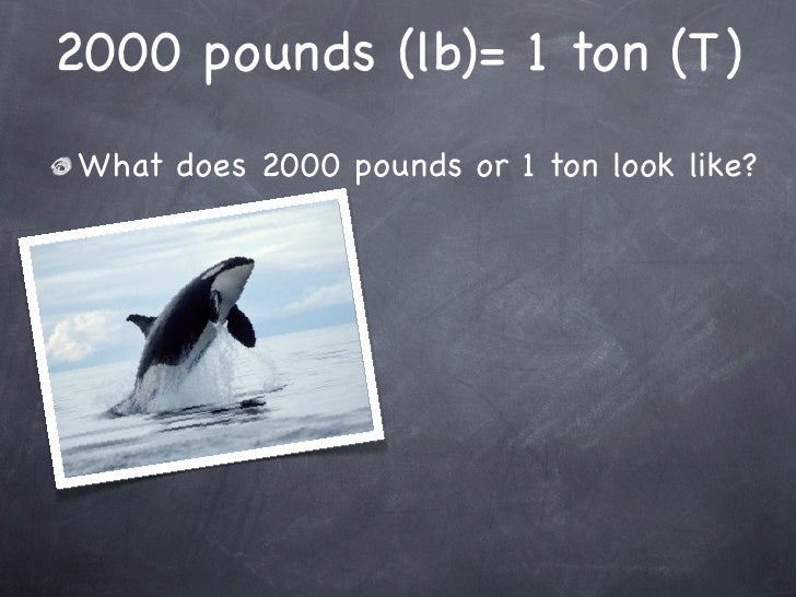 Ton 2000 pounds Clearance