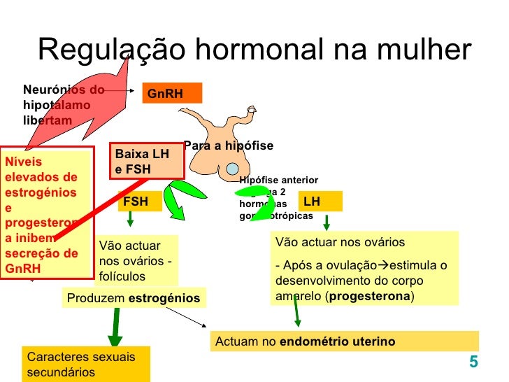Princípios de diagnóstico para disfunção temporomandibular YouTube Princípios de diagnóstico para disfunção temporomandibular YouTube