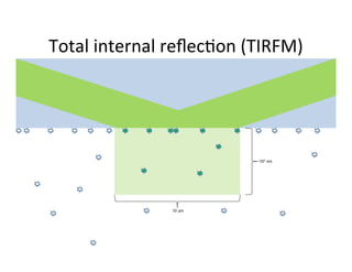 102 nm




10 um
 