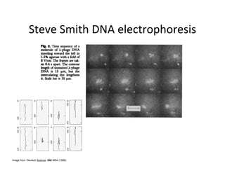 Image from: Deutsch Science. 240 4854 (1988)
 