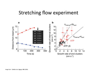 Image from: Galletto et al. Nature. 443 (2006)
 