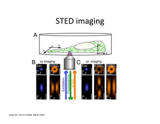 Image from: Hein et al PNAS. 105 38 (2008)
 