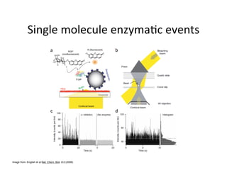 Image from: English et al Nat. Chem. Biol. 2:2 (2006)
 