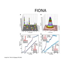 Image from: Yildiz et al Science. 27 (2003)
 