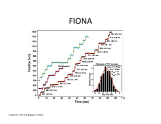 Image from: Yildiz et al Science. 27 (2003)
 