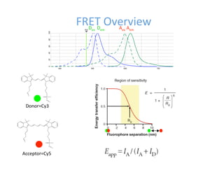 11 20-09 mbsb single molecule techniques.ppt