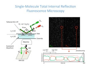 11 20-09 mbsb single molecule techniques.ppt