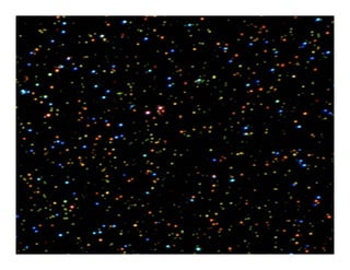11 20-09 mbsb single molecule techniques.ppt