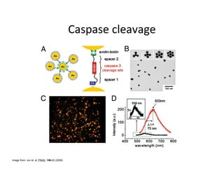 Image from: Jun et. al. PNAS. 106:42 (2009)
 