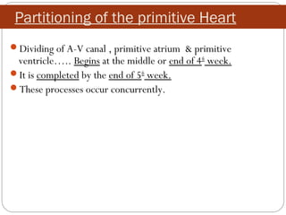 Partitioning of the primitive Heart
Dividing of A-V canal , primitive atrium & primitive

ventricle….. Begins at the middle or end of 4th week.
It is completed by the end of 5th week.
These processes occur concurrently.

 