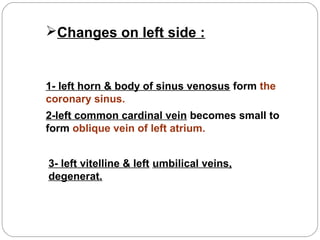 Changes on left side :

1- left horn & body of sinus venosus form the
coronary sinus.
2-left common cardinal vein becomes small to
form oblique vein of left atrium.
3- left vitelline & left umbilical veins,
degenerat.

 
