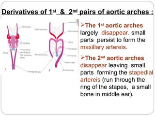 Derivatives of 1st & 2nd pairs of aortic arches :
The 1st aortic arches
largely disappear. small
parts persist to form the
maxillary artereis.
The 2nd aortic arches
disappear leaving small
parts forming the stapedial
artereis (run through the
ring of the stapes, a small
bone in middle ear).

 