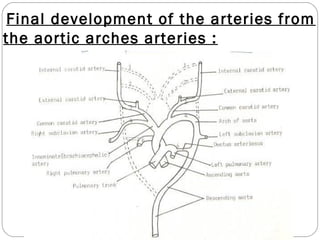 Final development of the arteries from
the aortic arches arteries :

 