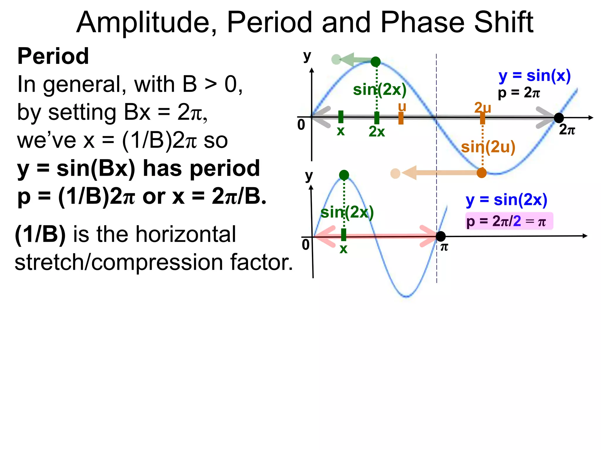 Amplitude, Period and Phase Shift
Period
In general, with B > 0,
by setting Bx = 2π,
we’ve x = (1/B)2π so
y = sin(Bx) has period
p = (1/B)2π or x = 2π/B.
y
y = sin(x)
p = 2π
0 2π
y
y = sin(2x)
0 π
x
x
2x
sin(2x)
sin(2x)
2uu
sin(2u)
(1/B) is the horizontal
stretch/compression factor.
p = 2π/2 = π
 