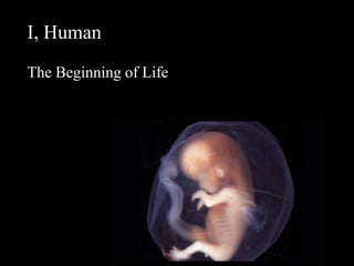 I, Human
The Beginning of Life
 