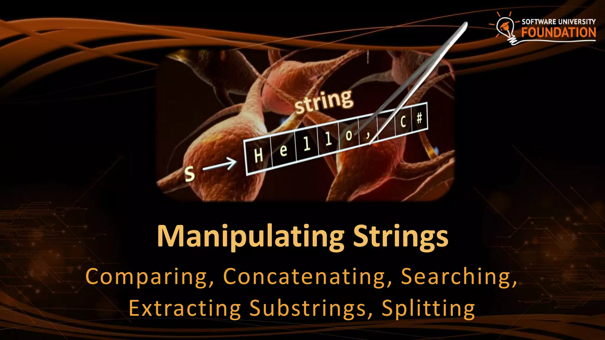 13 Strings and Text Processing | PPT